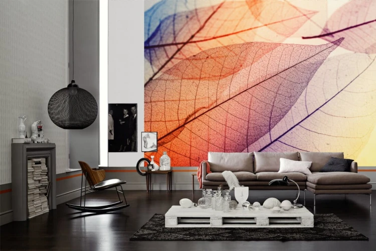 353bbe2b43e2cffab377b4fab0a592c2