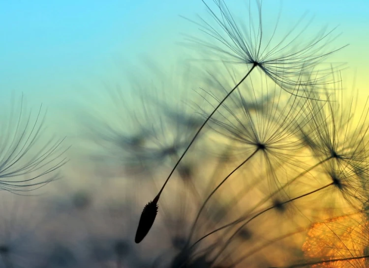 4b50fc4c024c762fc79cc8db6ba5175f