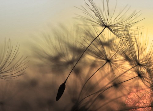 348b3f0f4cacded26fd8727e40f38065