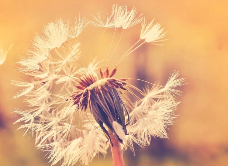 338dd4696a18c0f68c0e555f17f8d499