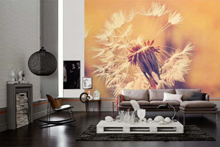 558ef3dc0ac1cb48635a4386c361c2be