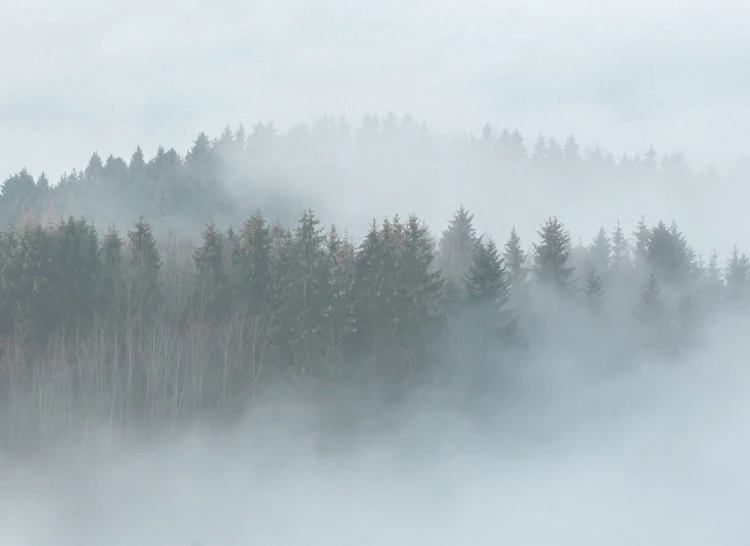 f0407c8b583e6820c7c74e358aa9374d