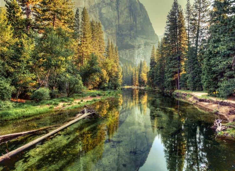 966b5991e3245e7027c4c5f7d0c4bf49