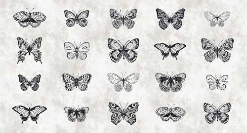 5c14921259928b632f322fc4803ae6c2