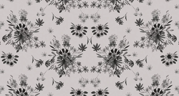 c556367b47eb7bfa7abfb55b3564fdec