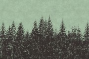 368f240617d2404f9665be612801d934
