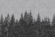 0df81f6aaa217407beec485e036c1b7d