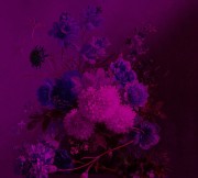 d58775ccd585aa0720d2504fc8096483
