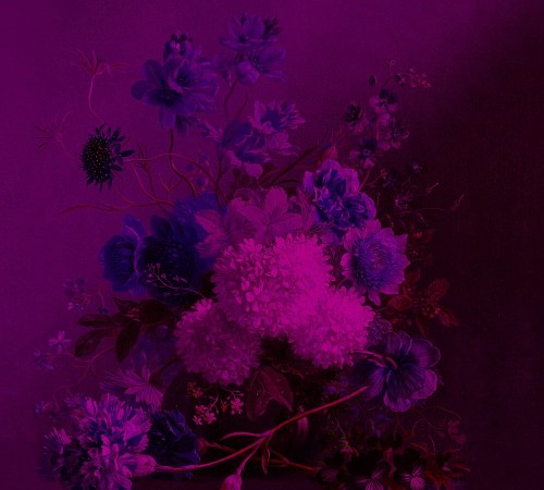 d58775ccd585aa0720d2504fc8096483