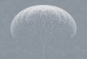 ac352c6dea53457ed28fff84f13b15b1