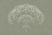 cda0d618ecd4dd641c25f7b32f48a17e