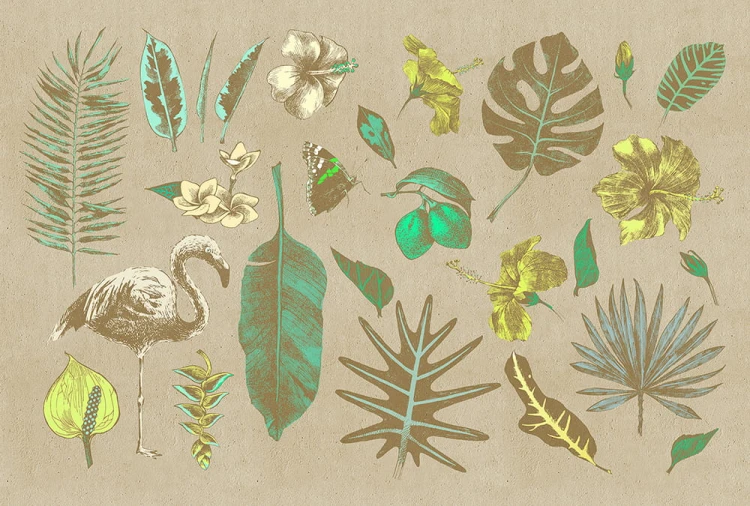 b5ba77cb32fde4ba5e4d0b6b9785832e