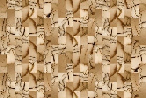 ea3d6ddc11f2423d6aae1ae99057be4c