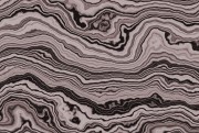c2bc1e2087ce3ae0b8bcc25e1e53a131