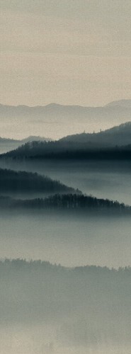 a4aab173266cfda326b3fa04b65d180c