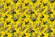 ab564a7a65140888fab7959c29158f76