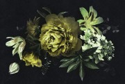 112b47387f01db8ac0430035c9de77e5