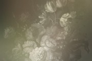 0088d323177a203038db50cf77a3a165