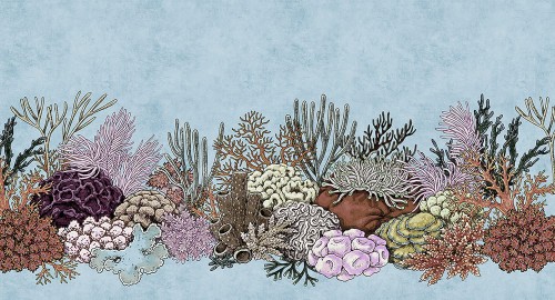 22a6c4e363d952348425a9c21cfdf4da