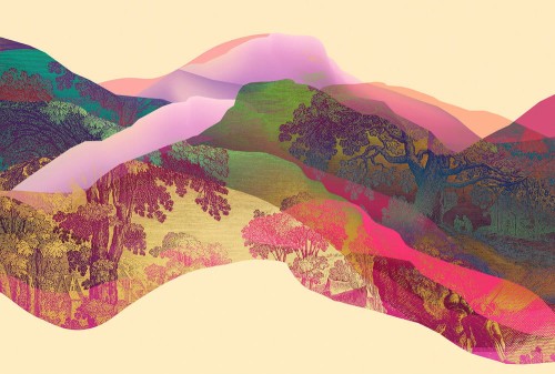 3e8b6548d6a9ebff1756a6affe1d6168