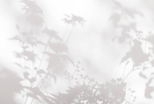 11a67e0962151a8f50de29ec58f944ae
