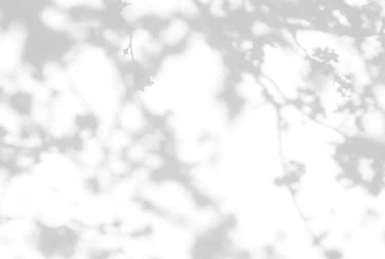 0834be668d94cc7bb01253ea22cde253