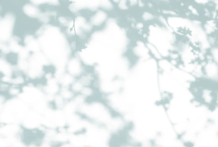 58d58bbb94c1dc653186b2e2de95795b