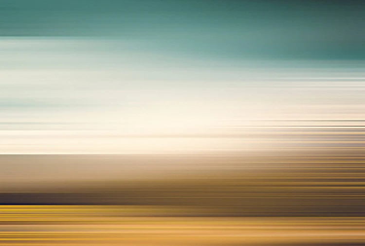 d91e6cd533d5a6b4826e66ef8610a27e