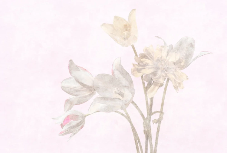 ab4c9f3f7a097c10f796abb9a3e8f54e
