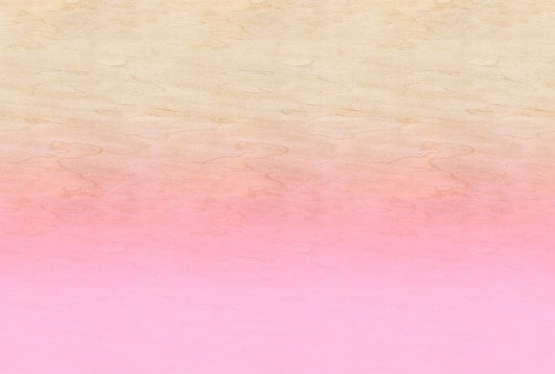 cdca51e2f353c45fb0354fa88b395410