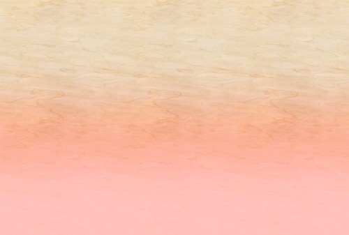 44353dd138c0608be061dacd21bf9801