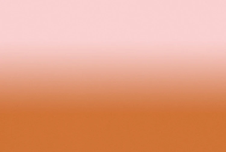810c36a2069fc1efd80a58aa782459fd