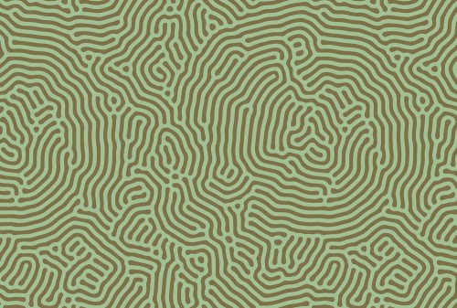 ae42233a7f86d0fbcdfaeaeccdf7e5a1