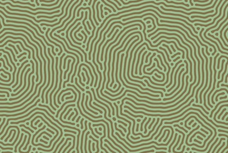 ae42233a7f86d0fbcdfaeaeccdf7e5a1