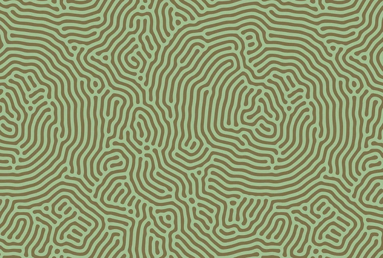 6e5762e1c74fd997c2b0e5d05fc6afc6