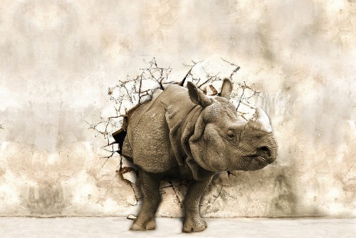 b627aaf5a801de8442b68d0291186266