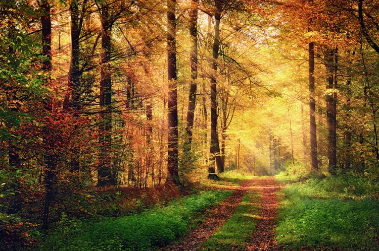 dc698c66393cae5dc03a16ea033c62fa