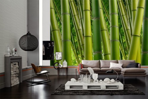 a8874deafc63b43223ea49d194251da0