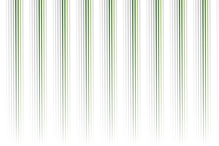 f7e8584ac1e785d6627af930ee327ff2
