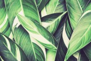 db9893f943a13b40f311649225e62c74