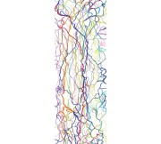 2f49055456a337ddd88147c447ccf988