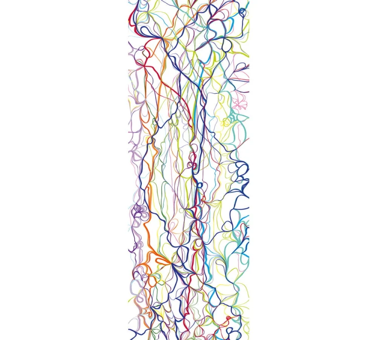 2f49055456a337ddd88147c447ccf988