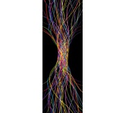 1ef63fd3fa70f8fcd4110b7d26c24d89