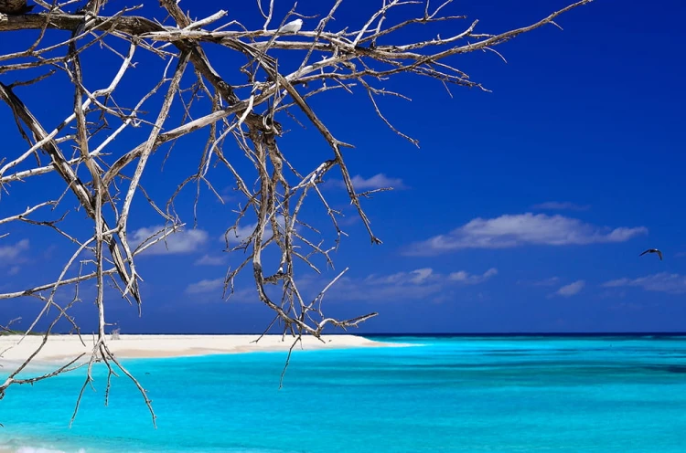 735dcd9e6518d5055271f97a943f04ee