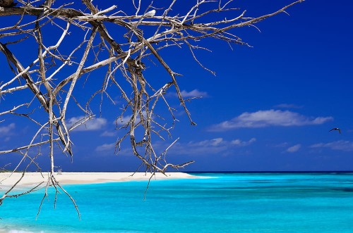 011d4254e570d79f5e06b66c7954d770