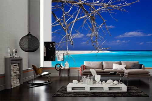 07cf2a436870964d31335994ad40d484