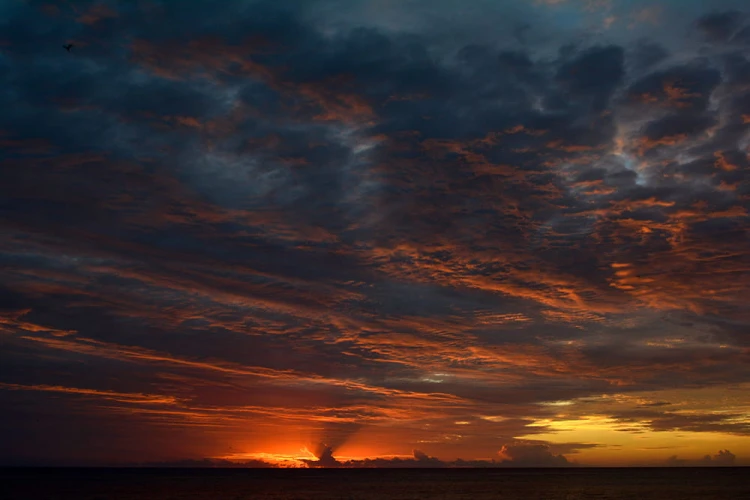 7d559035fd231bba9316c0213043c9b0