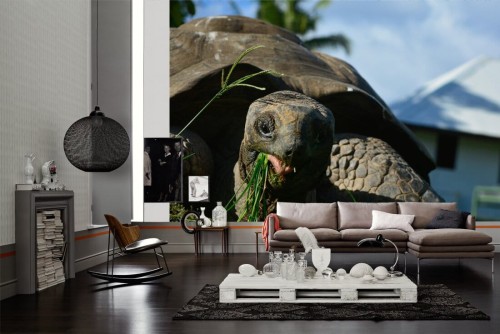 9687b49359ecc62c75f38d9ea7e0f27c