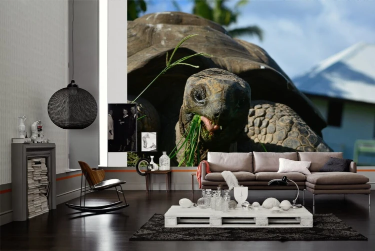 5e90ced58751399279c3ffae2aa4105f