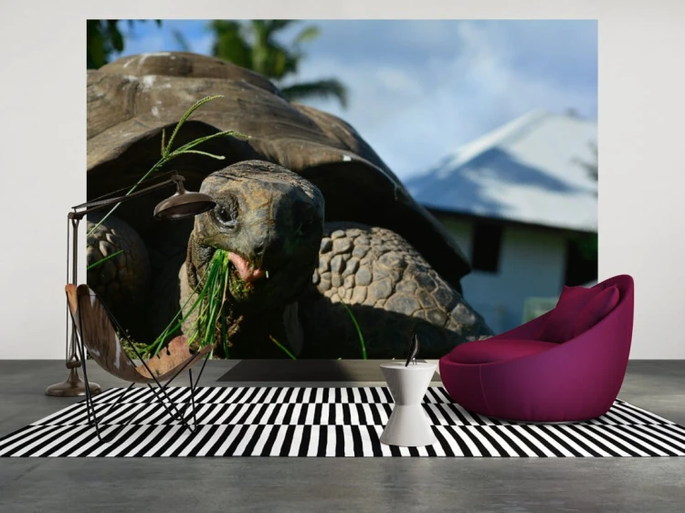 7bde673b6fa8c7fb6748a73d5bc4c1a4